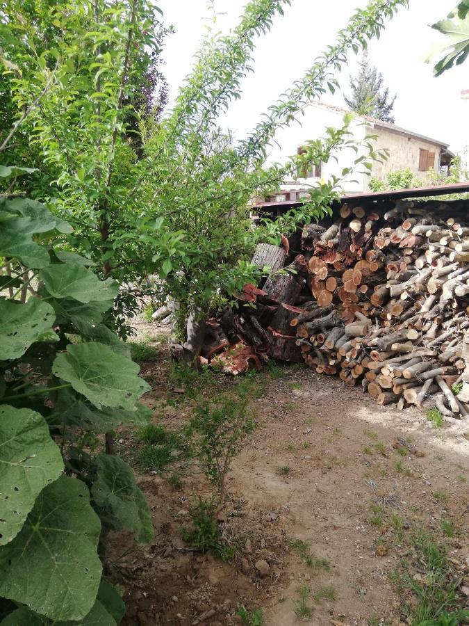 Hostal Kaizer Agrotourism Amargeti Exterior foto
