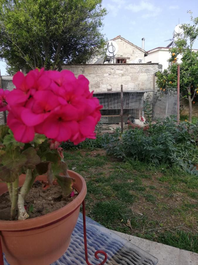 Hostal Kaizer Agrotourism Amargeti Exterior foto