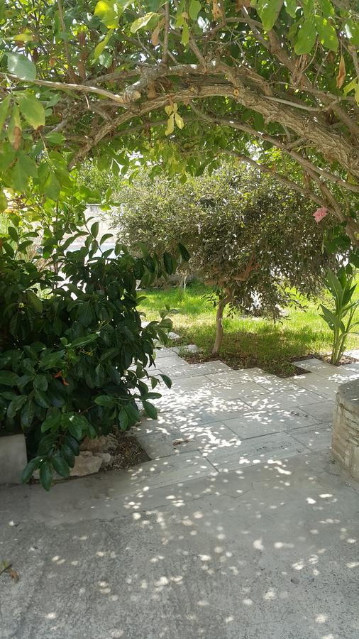 Hostal Kaizer Agrotourism Amargeti Exterior foto